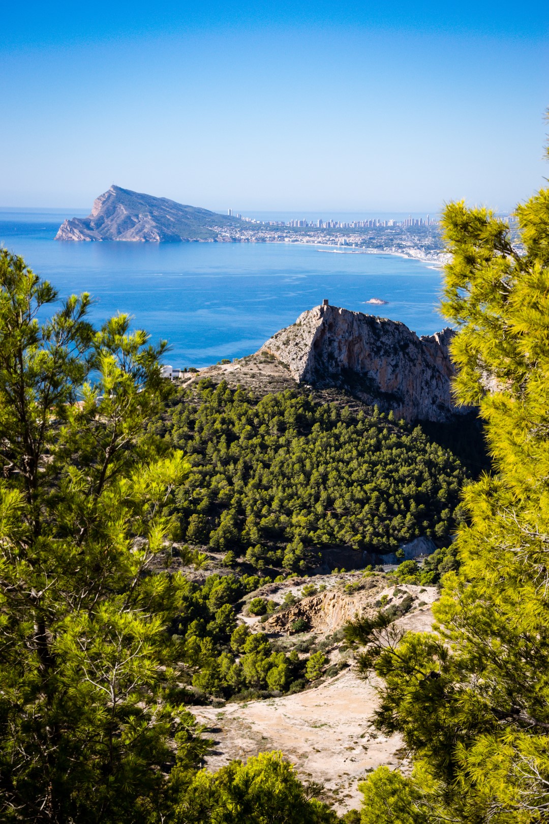 nieruchomości na sprzedaż alicante